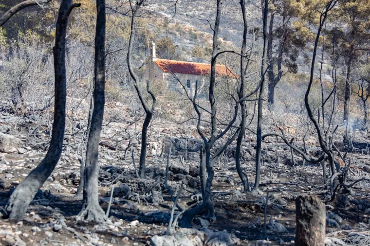 Tužni prizori: Veliki požar na Pelje&scaron;cu poharao sve pred sobom
