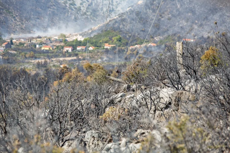 Tužni prizori: Veliki požar na Pelje&scaron;cu poharao sve pred sobom