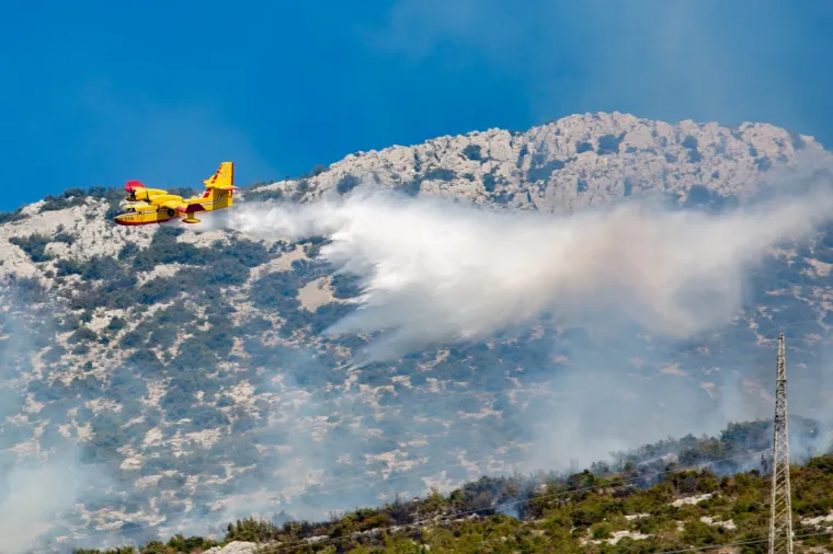Tužni prizori: Veliki požar na Pelje&scaron;cu poharao sve pred sobom