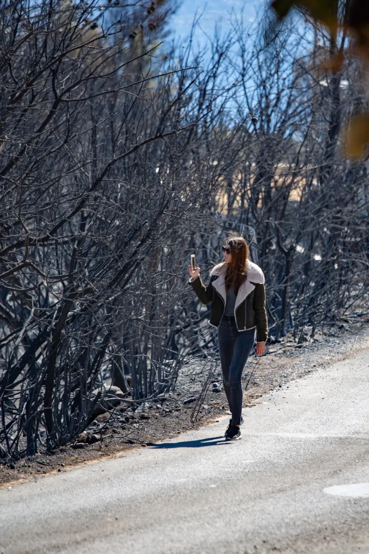 Tužni prizori: Veliki požar na Pelje&scaron;cu poharao sve pred sobom