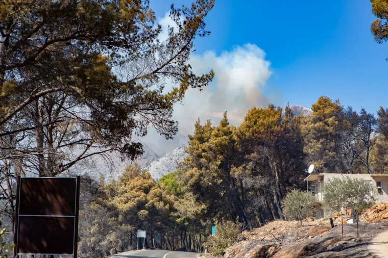 Tužni prizori: Veliki požar na Pelje&scaron;cu poharao sve pred sobom