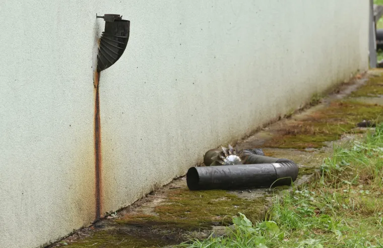 Drama u Zagrebu: &Scaron;esteročlana obitelj otrovala se ugljičnim monoksidom