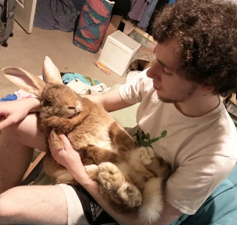 Puni ljubavi i pažnje: Podsjetite se zašto su ljubimci naši najbolji prijatelji