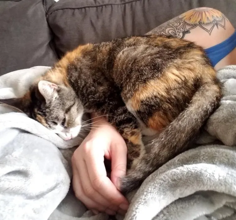 Puni ljubavi i pažnje: Podsjetite se zašto su ljubimci naši najbolji prijatelji