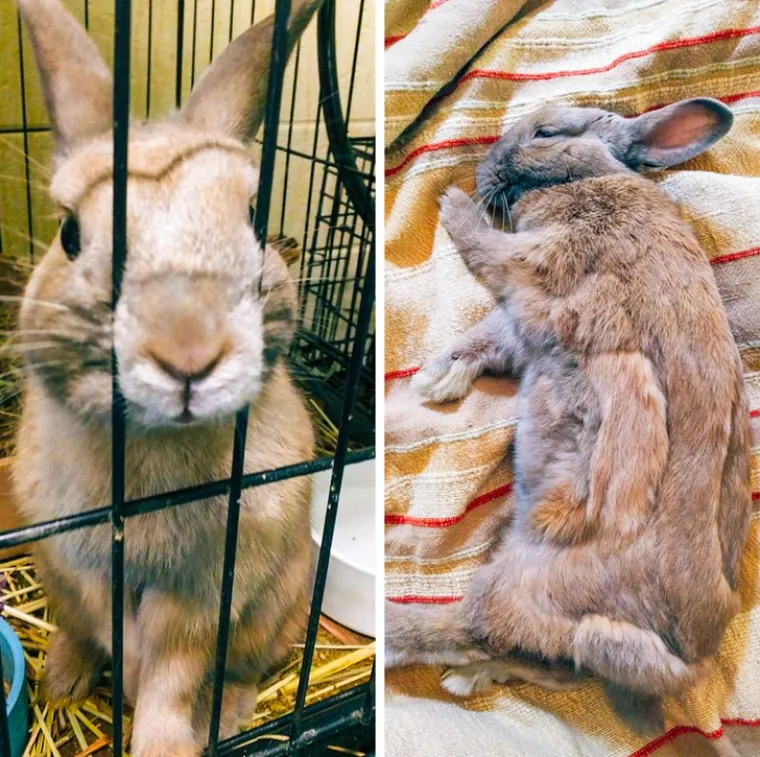 Puni ljubavi i pažnje: Podsjetite se za&scaron;to su ljubimci na&scaron;i najbolji prijatelji