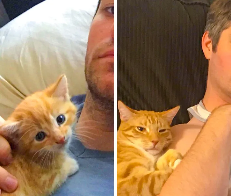 Puni ljubavi i pažnje: Podsjetite se za&scaron;to su ljubimci na&scaron;i najbolji prijatelji