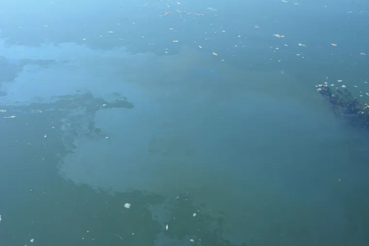 Photo: Ivica Galovic/PIXSELL