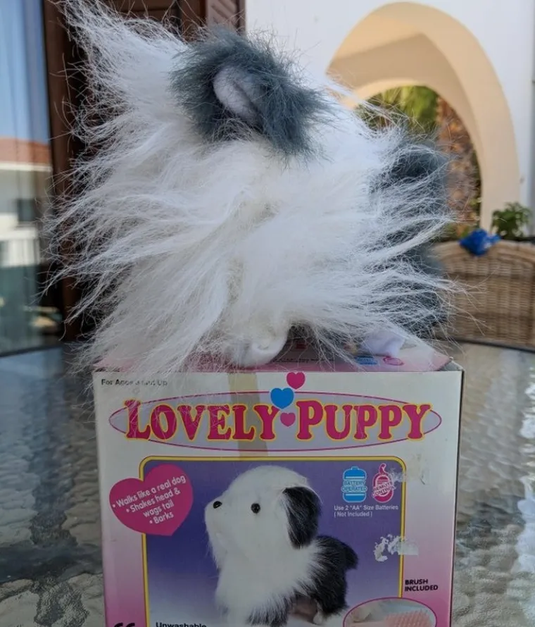 NISU DOBILI &Scaron;TO SU NARUČILI: Preveslali ih bezobrazni prodavači misleći valjda da će biti smije&scaron;no