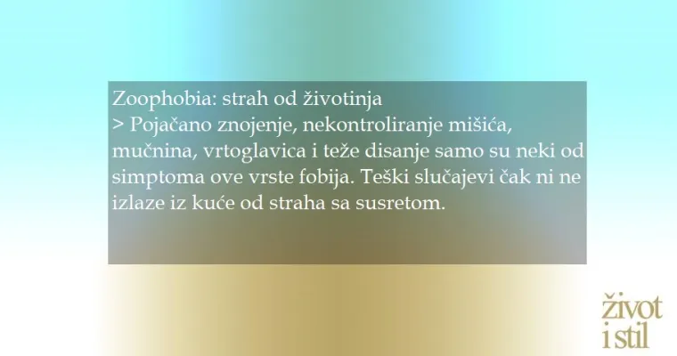Strah od svježeg zraka, zvuka ili dugih riječi: Ovo su fobije za koje sigurno niste znali da postoje