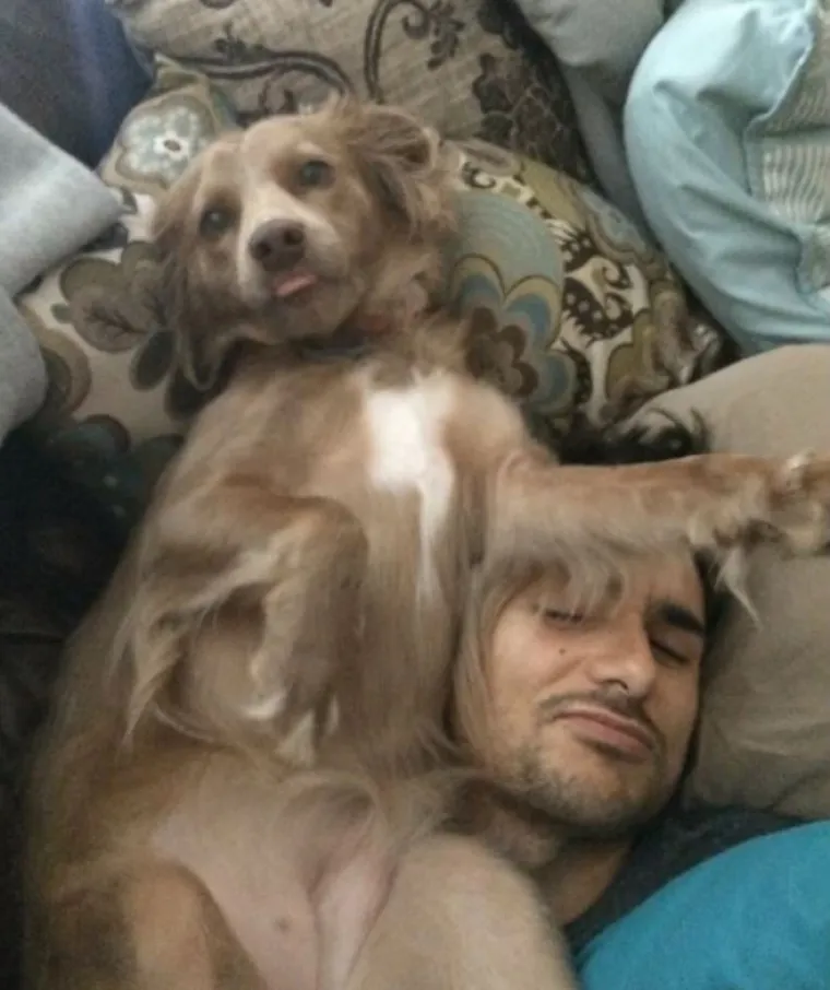 Za&scaron;to ih volimo: 20 preslatkih ljubimaca koji ne poznaju osobni prostor