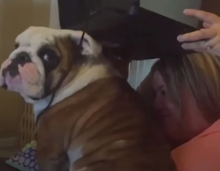 Za&scaron;to ih volimo: 20 preslatkih ljubimaca koji ne poznaju osobni prostor