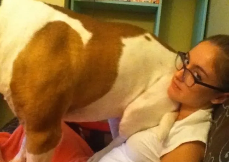 Za&scaron;to ih volimo: 20 preslatkih ljubimaca koji ne poznaju osobni prostor