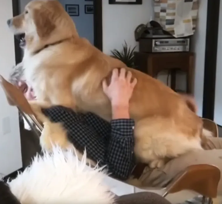 Za&scaron;to ih volimo: 20 preslatkih ljubimaca koji ne poznaju osobni prostor