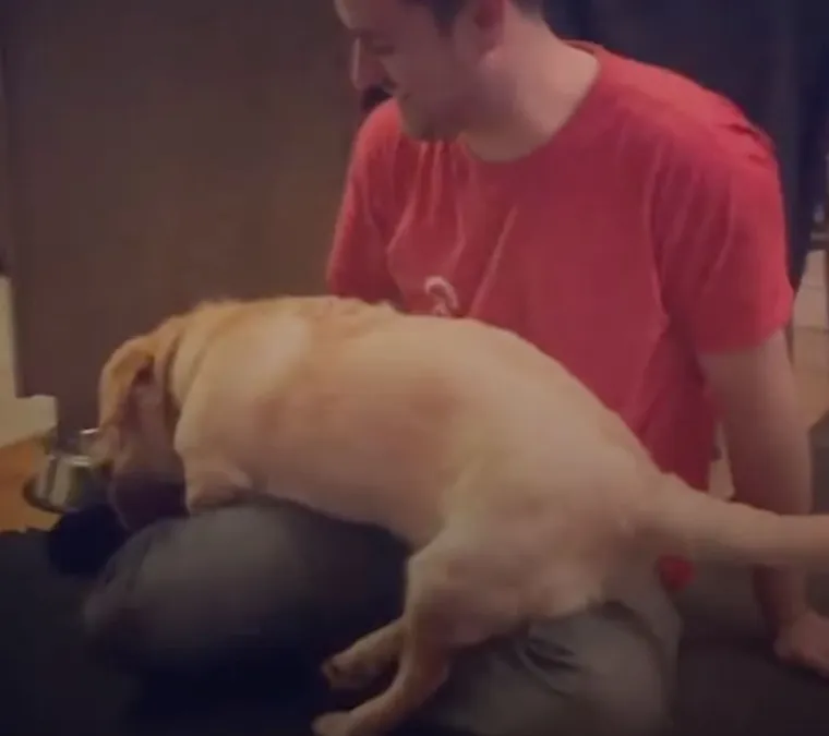 Za&scaron;to ih volimo: 20 preslatkih ljubimaca koji ne poznaju osobni prostor