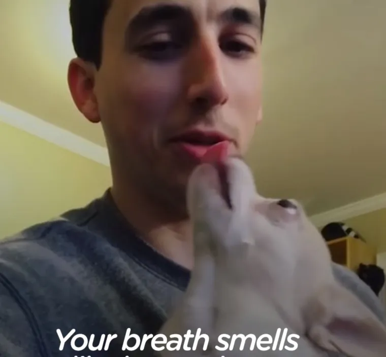 Za&scaron;to ih volimo: 20 preslatkih ljubimaca koji ne poznaju osobni prostor