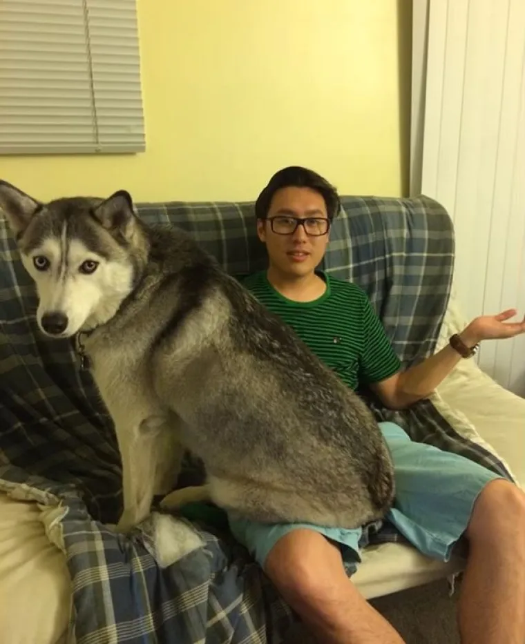 Za&scaron;to ih volimo: 20 preslatkih ljubimaca koji ne poznaju osobni prostor