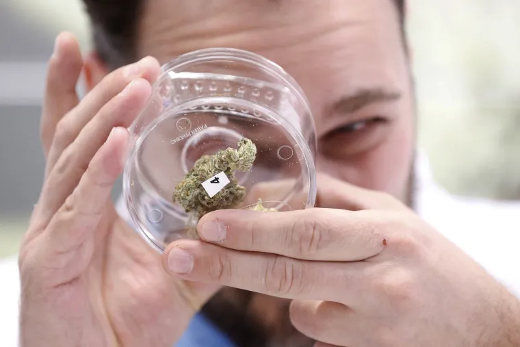 Sretna Kanada: Pogledajte kako je pro&scaron;ao prvi dan legalizacije trave