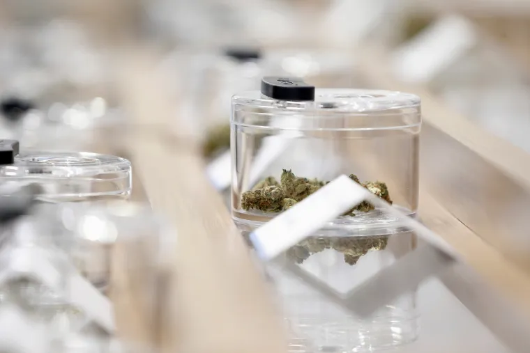 Sretna Kanada: Pogledajte kako je pro&scaron;ao prvi dan legalizacije trave