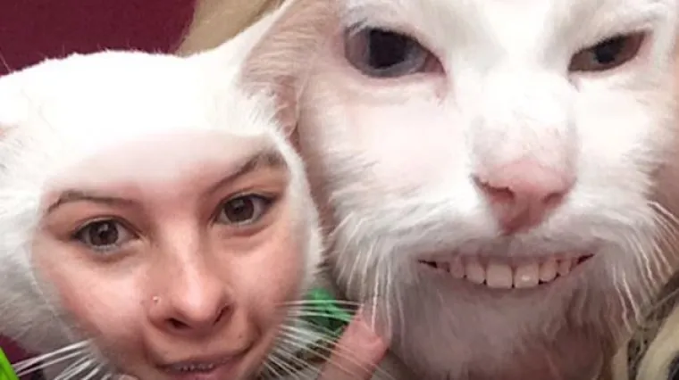 Kad kćer postane pećnica, a tata Teletubbies: TOP 35 najsmje&scaron;nijih 'face swap' slika