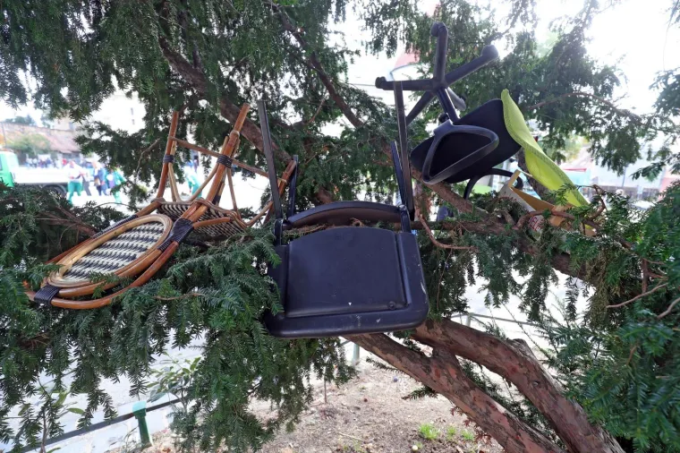 NEOBIČAN PRIZOR U CENTRU ZAGREBA: Tko se noćas penjao po stablu ispred katedrale?