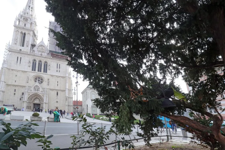 NEOBIČAN PRIZOR U CENTRU ZAGREBA: Tko se noćas penjao po stablu ispred katedrale?