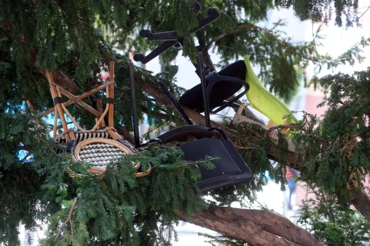 NEOBIČAN PRIZOR U CENTRU ZAGREBA: Tko se noćas penjao po stablu ispred katedrale?