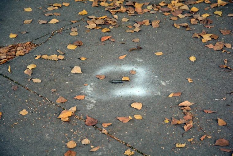 Uhićen mu&scaron;karac koji je pucao po Petrinji