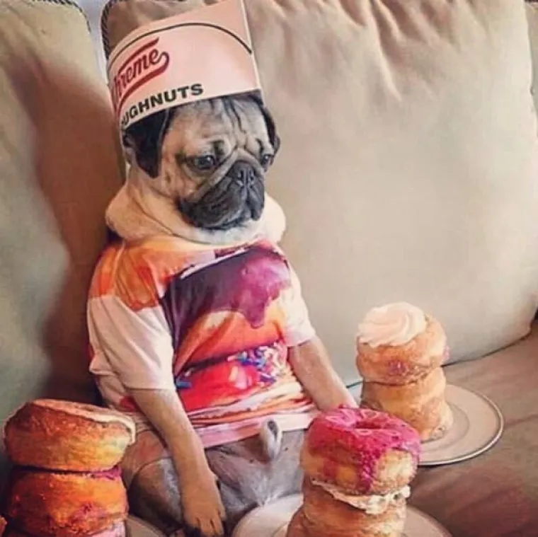 Tijekom razgovora bila odsutna jer je mislila samo na hranu.