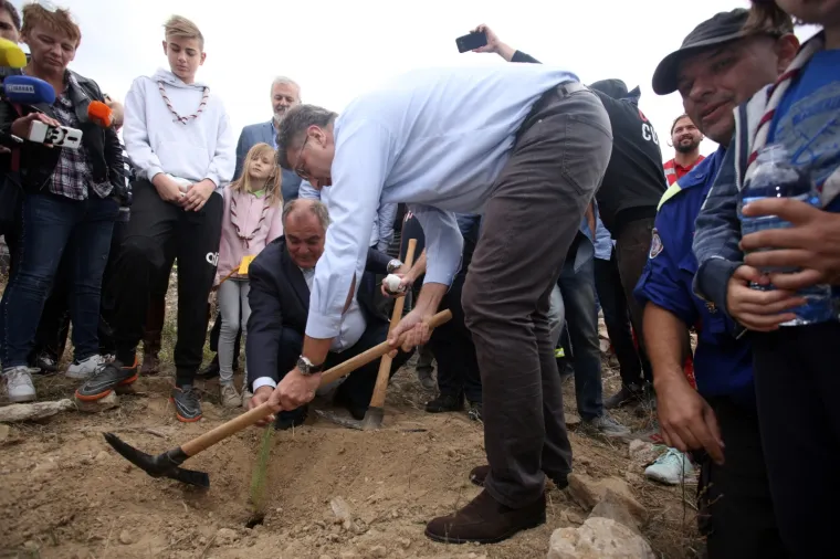 ...kopkajući malo krampom i uz pomoć ljudi oko njega uspio je posaditi stablo pitomog bora, pinjole.