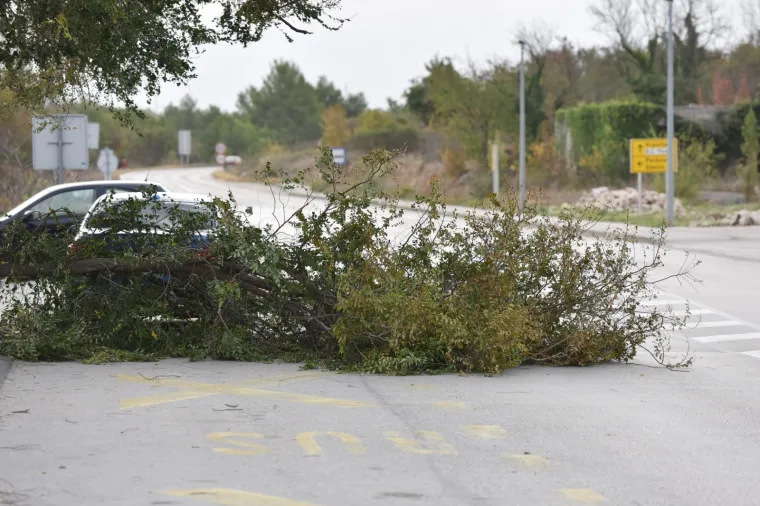 JJako jugo sru&scaron;ilo stablo na cestu u Dubravi kod &Scaron;ibenika