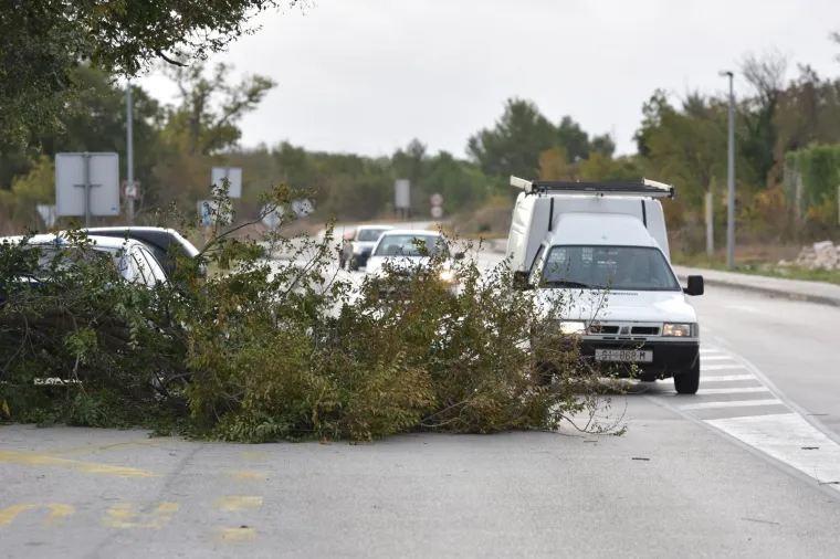 ORKANSKI UDARI VJETRA: Snažno jugo sru&scaron;ilo stablo na cestu u Dubravi kod &Scaron;ibenika
