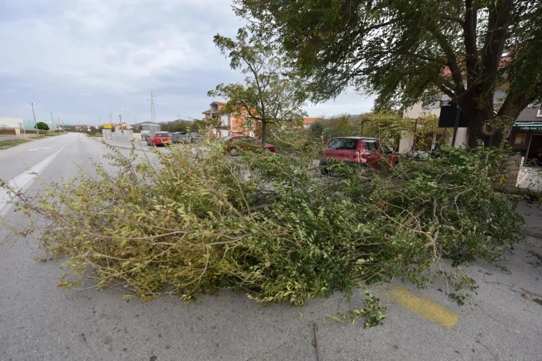 ORKANSKI UDARI VJETRA: Snažno jugo sru&scaron;ilo stablo na cestu u Dubravi kod &Scaron;ibenika