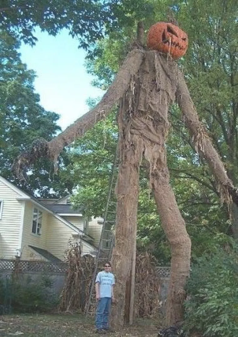 Od trupla koja vise na drveću, do stotine pauka na krovu: TOP 20 najbolje uređenih kuća za Noć vje&scaron;tica