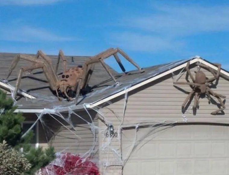 Od trupla koja vise na drveću, do stotine pauka na krovu: TOP 20 najbolje uređenih kuća za Noć vje&scaron;tica