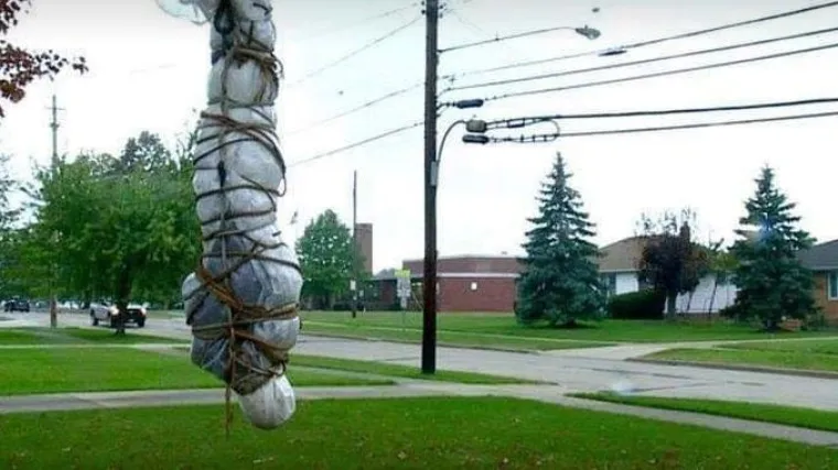 Od trupla koja vise na drveću, do stotine pauka na krovu: TOP 20 najbolje uređenih kuća za Noć vje&scaron;tica