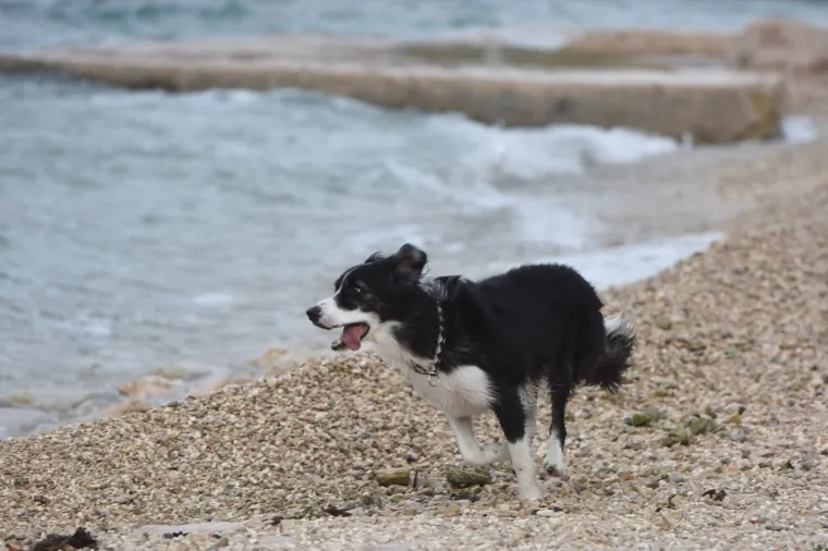 Jako jugo izazvalo je probleme na &scaron;ibenskom području.
