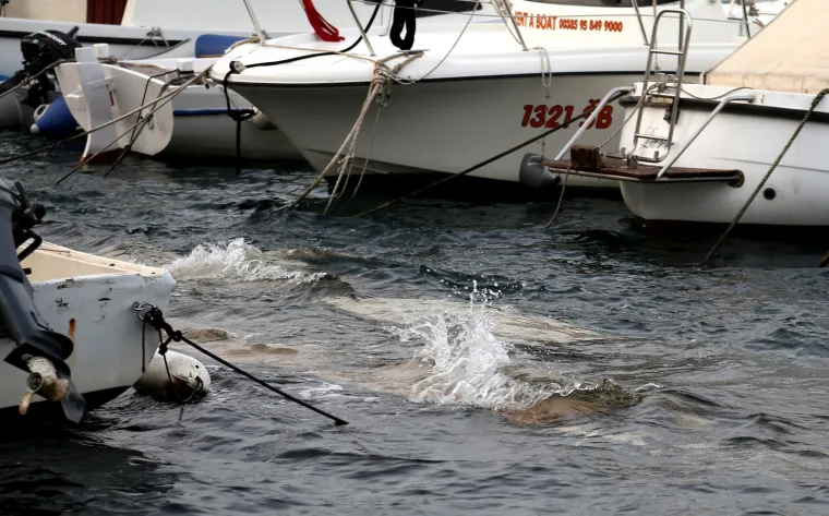 PLIMNI VAL U ŠIBENIKU: Zbog jakog juga poplavljeni riva i privezište za brodice u gradskom predjelu Dolac