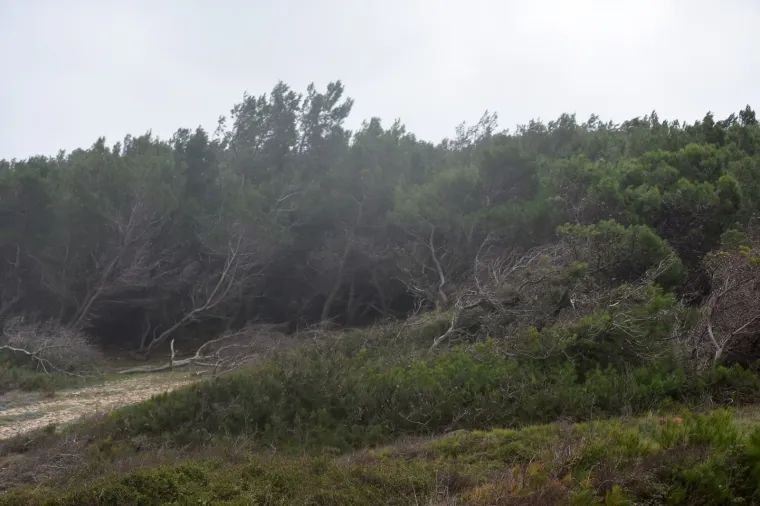 Pogledajte dramatične fotografije orkanskog nevrijemena koje se obru&scaron;ilo se na Hrvatsku