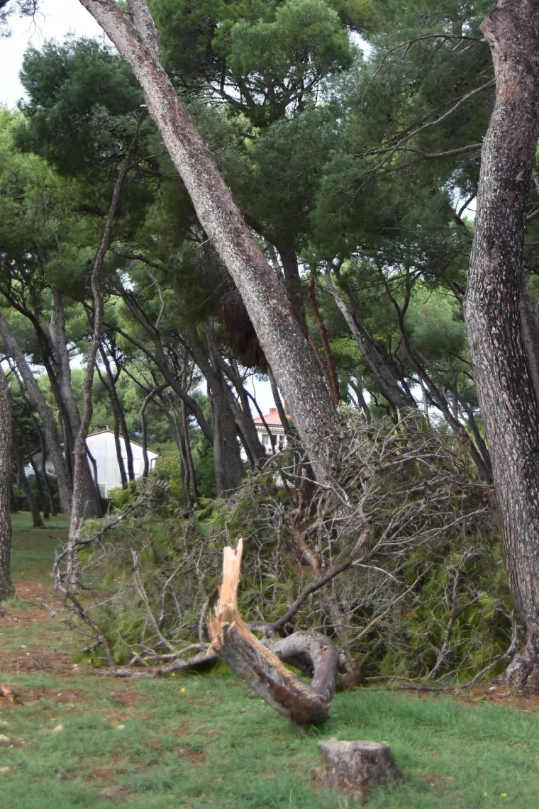 Pogledajte dramatične fotografije orkanskog nevrijemena koje se obru&scaron;ilo se na Hrvatsku