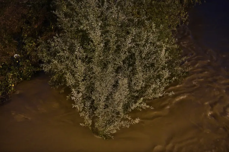 Izlila se Sava u Zagrebu: Do izlijevanja do&scaron;lo kod Mosta mladosti prema Zapruđu i Borovju