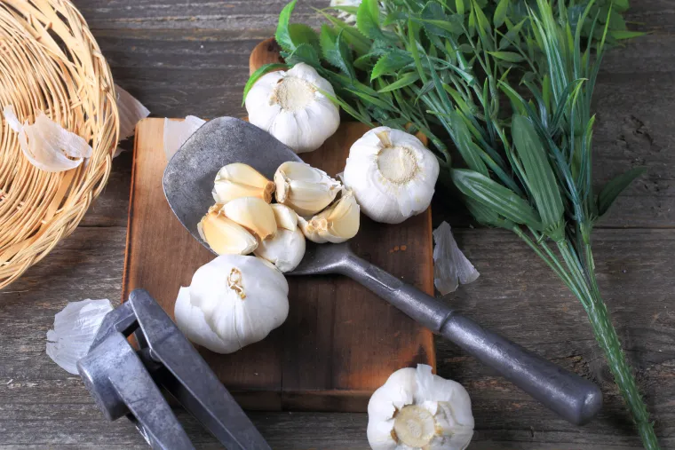 Uobičajene namirnice s neuobičajeno dobrim učinkom na zdravlje