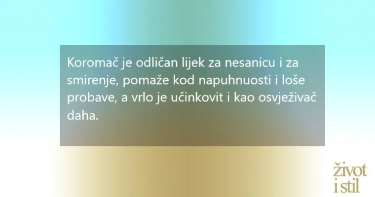 Uobičajene namirnice s neuobičajeno dobrim učinkom na zdravlje