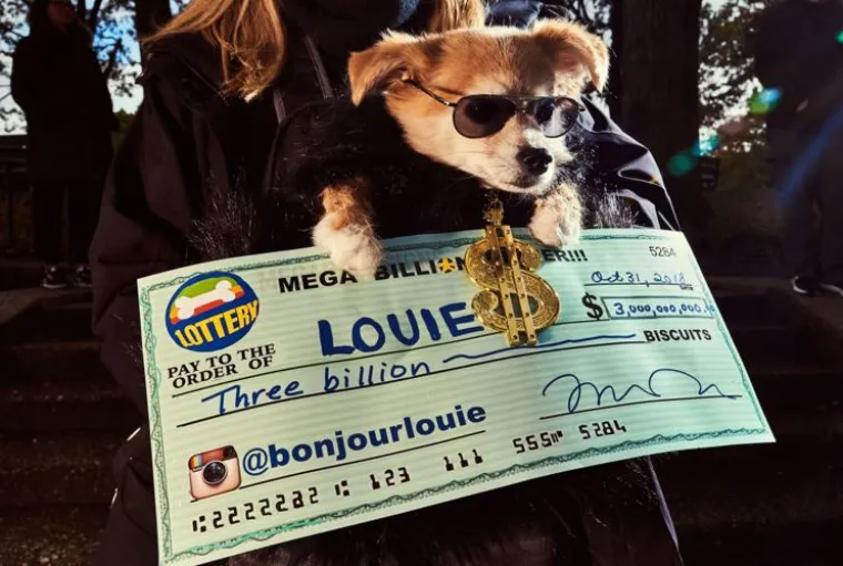 Od Superpsa, do milijuna&scaron;a i dinosaura: I ljubimci vole Noć vje&scaron;tica, a kostimi su im bolji od na&scaron;ih!