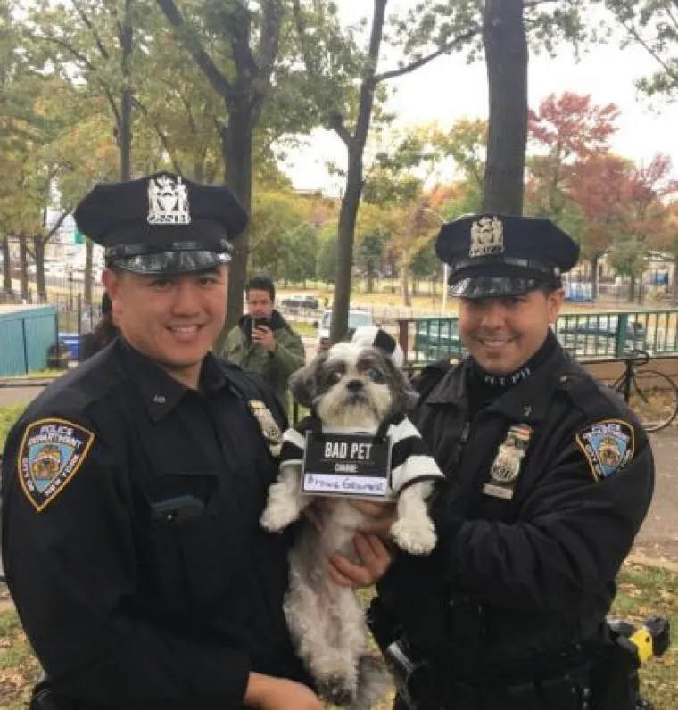 Od Superpsa, do milijuna&scaron;a i dinosaura: I ljubimci vole Noć vje&scaron;tica, a kostimi su im bolji od na&scaron;ih!