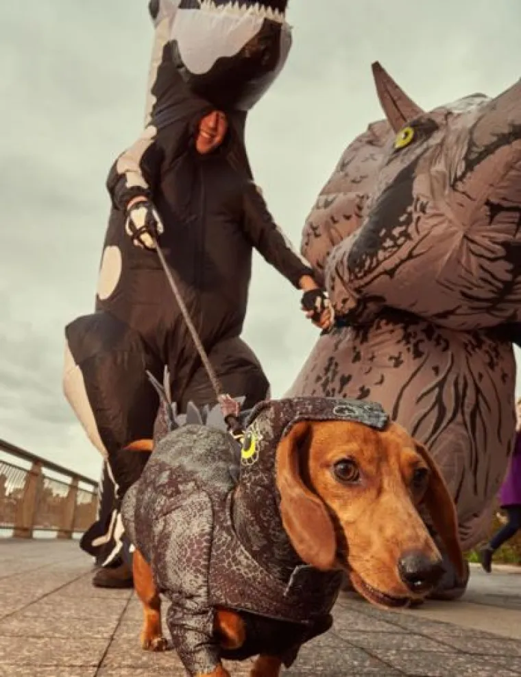 Od Superpsa, do milijuna&scaron;a i dinosaura: I ljubimci vole Noć vje&scaron;tica, a kostimi su im bolji od na&scaron;ih!