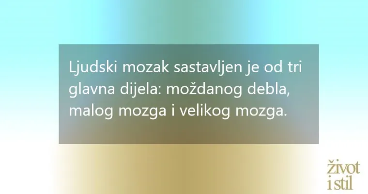 Nevjerojatne činjenice o mozgu koje niste znali, a obja&scaron;njavaju puno