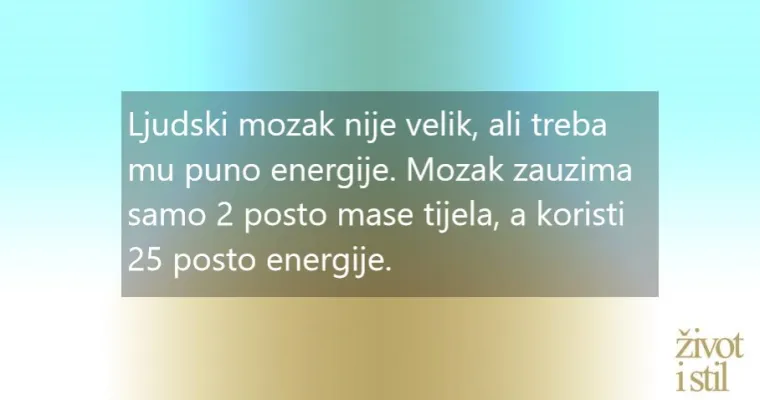 Nevjerojatne činjenice o mozgu koje niste znali, a obja&scaron;njavaju puno