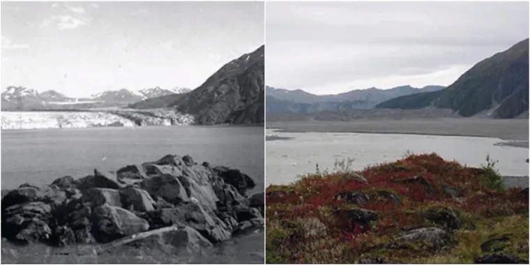 Dramatične klimatske promjene mijenjaju Zemlju iz temelja: Pogledajte usporedbu planeta nekad i danas