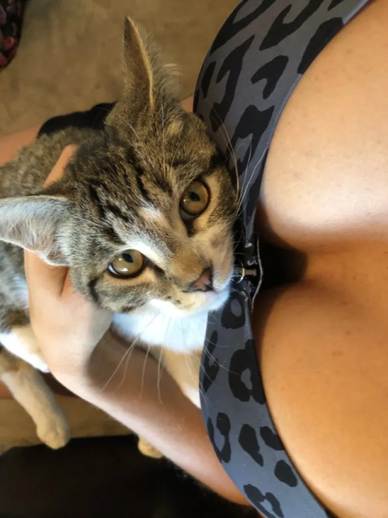 FOTKAJU, KAO, SVOJE LJUBIMCE: Samo su se slučajno skinule, namjestile i izbacile adute