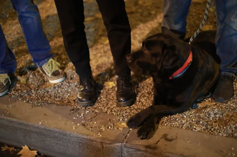 Na Zagrebačkom noćnom ceneru 2700 trkača: Prijave su planule u rekordnih 90 minuta